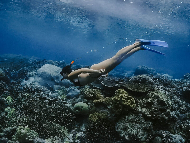 Enjoy underwater paradise. . #snorkelingtrip #underwaterphotography #oceanlife #nusalembongan #