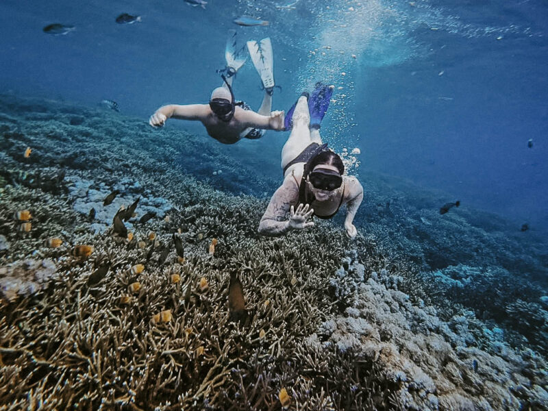 - SUN SEA SNORKEL -Emerse yourself in nature and the calming presence of the ocean in the beauti