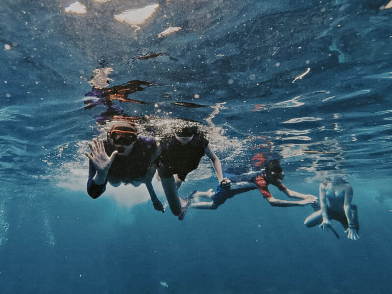 Watch our guests having the time of their lives snorkeling with turtles and meeting the incredib-3