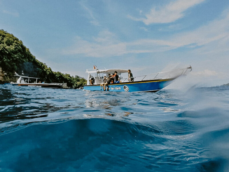 Watch our guests having the time of their lives snorkeling with turtles and meeting the incredib