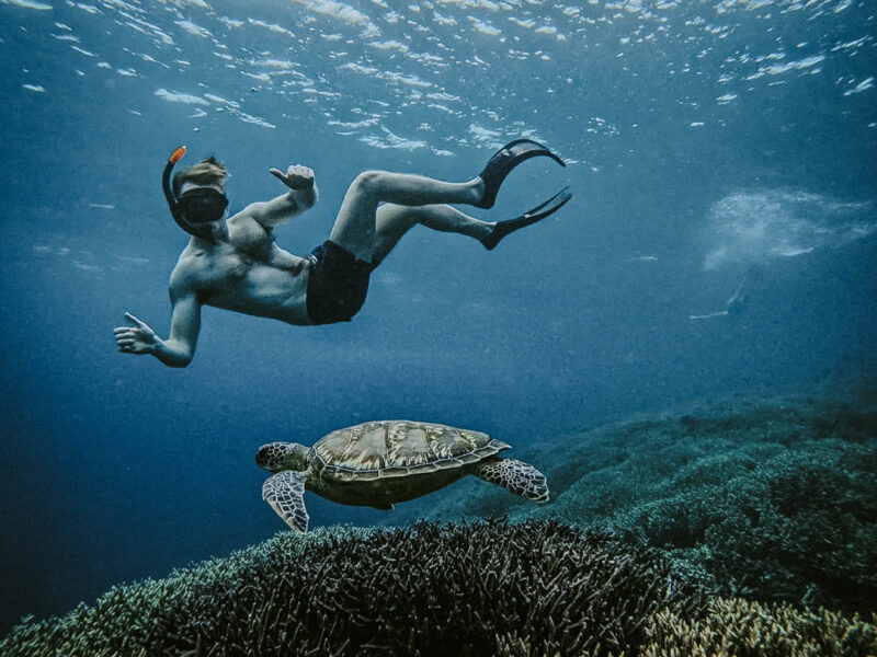 We love ocean