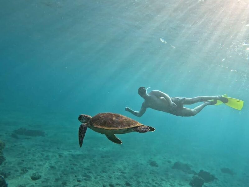 Ceningan Paradise Adventure snorkelling with sea turtle in Nusa Lembongan