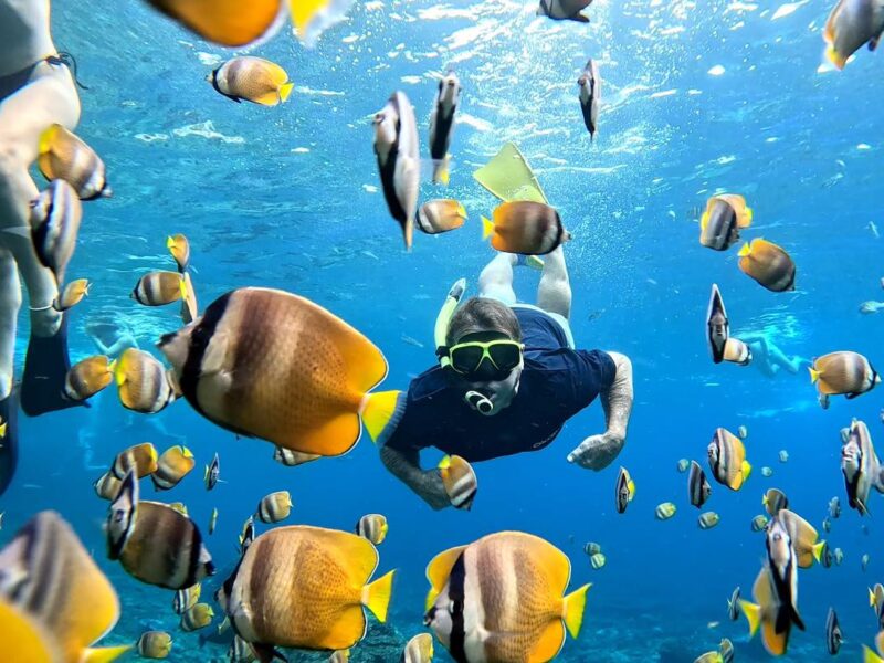 Colourful fishes snorkelling in Nusa Lembongan