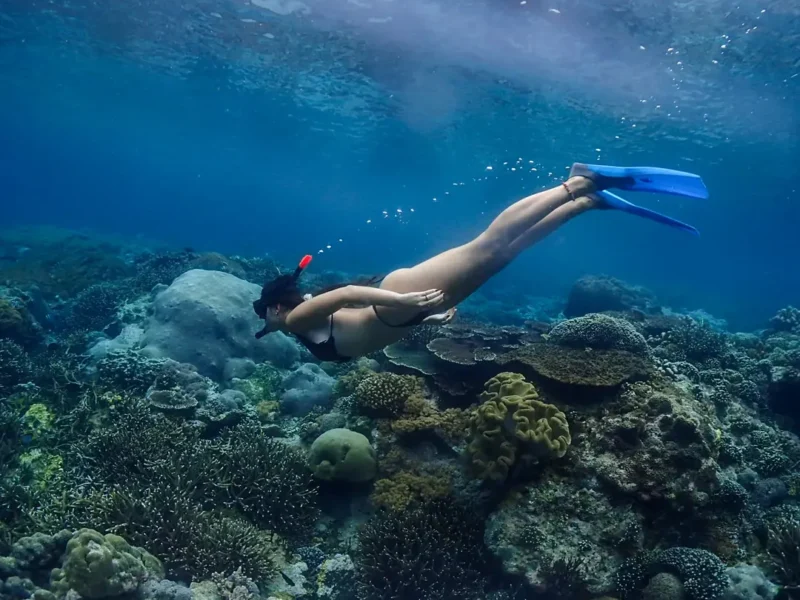Enjoy underwater paradise. . #snorkelingtrip #underwaterphotography #oceanlife #nusalembongan #