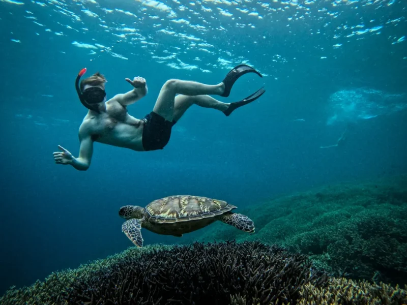 We love ocean