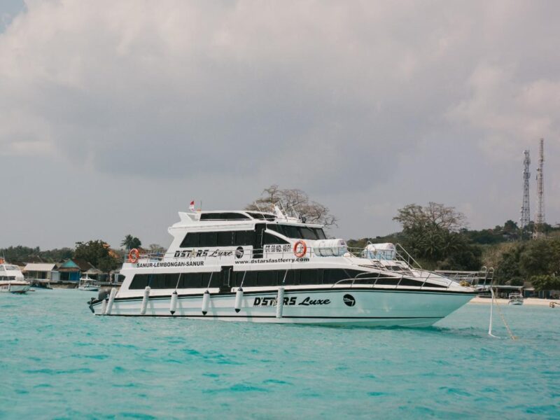 dstars luxe (2)