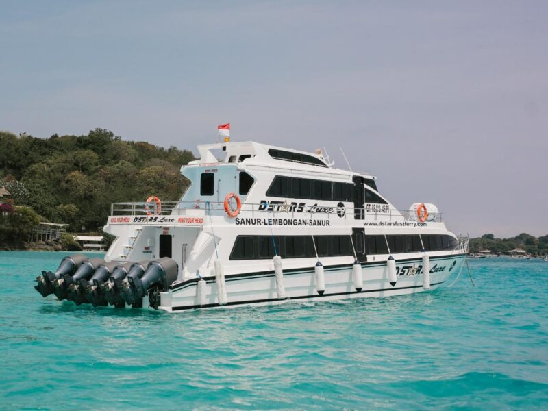 dstars luxe (3)