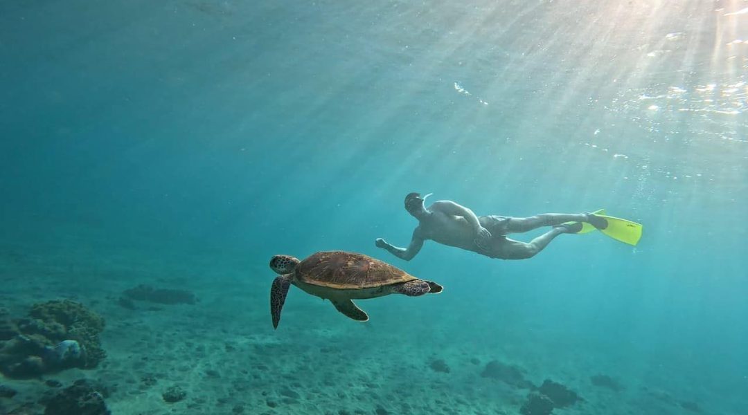 Ceningan Paradise Adventure snorkelling with sea turtle in Nusa Lembongan