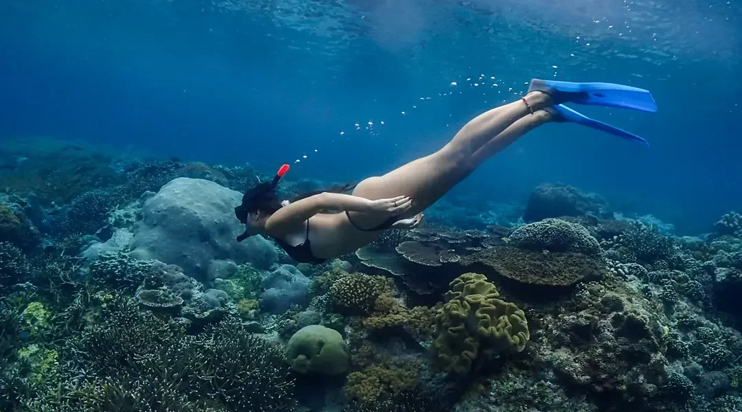 Enjoy underwater paradise. . #snorkelingtrip #underwaterphotography #oceanlife #nusalembongan #