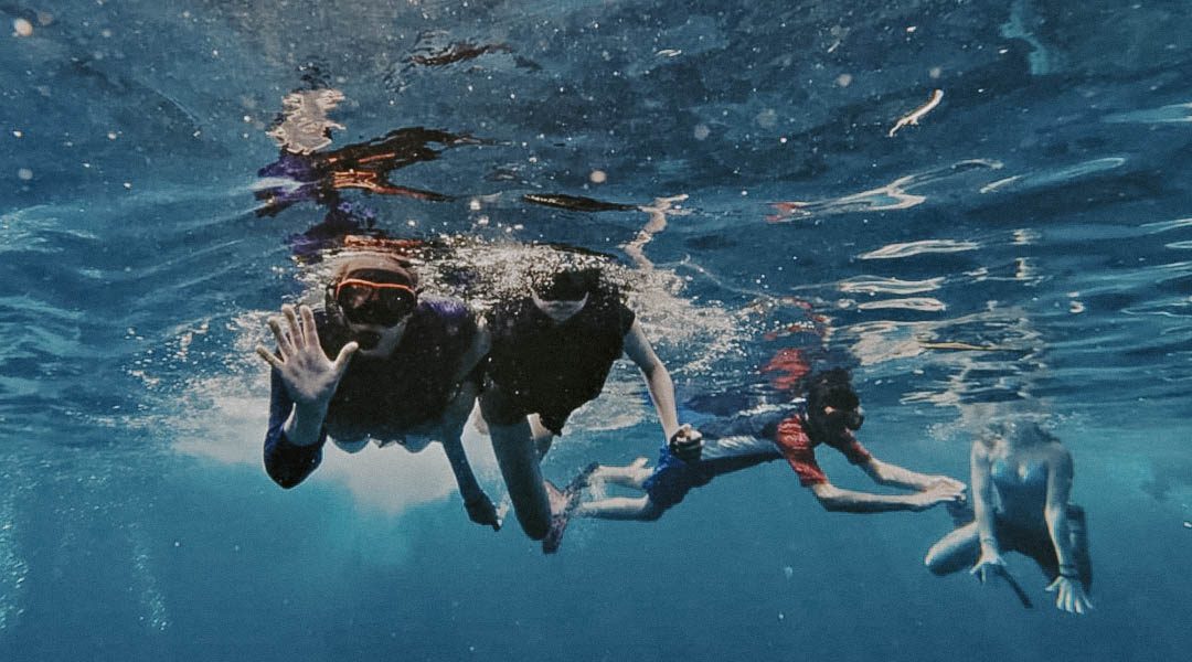Watch our guests having the time of their lives snorkeling with turtles and meeting the incredib-3