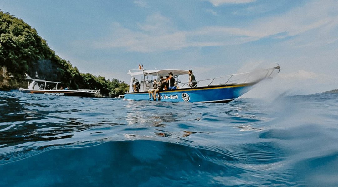 Watch our guests having the time of their lives snorkeling with turtles and meeting the incredib